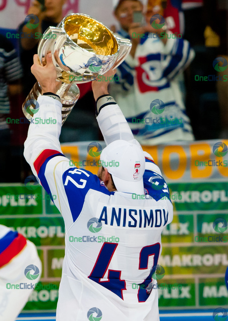 anisimov