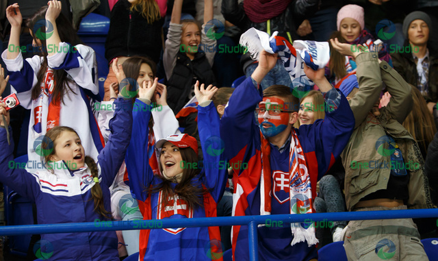 fans slovenska