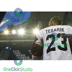 tesarik