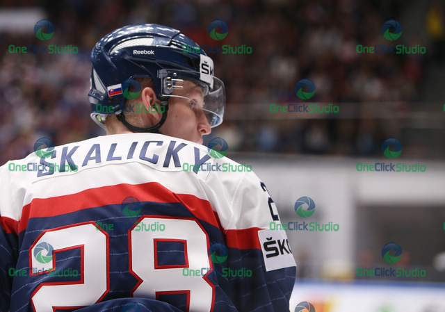 skalicky pavol