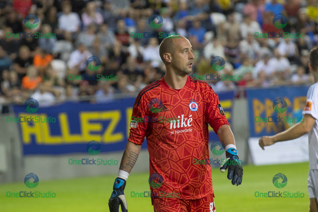 milan borjan