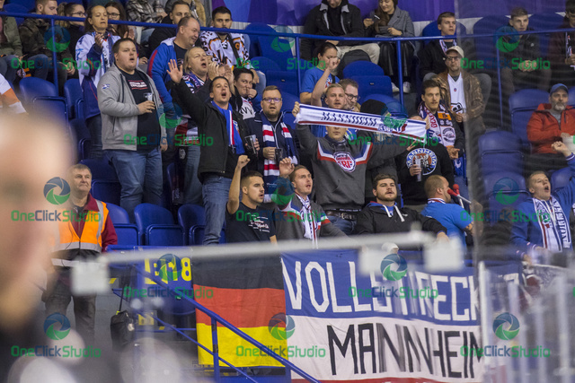 mannheim fans (2)