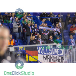 mannheim fans (2)