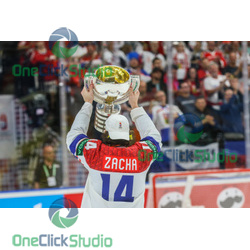 pavel zacha (2)