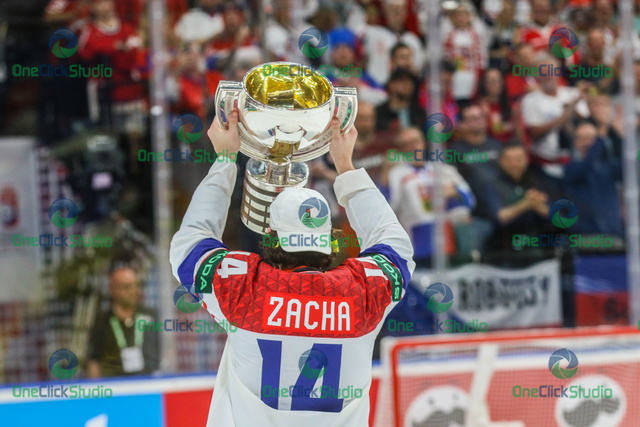 pavel zacha (2)