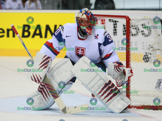 jaroslav halak