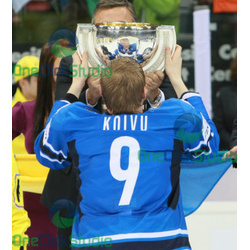 koivu