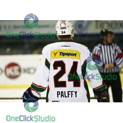 palffy