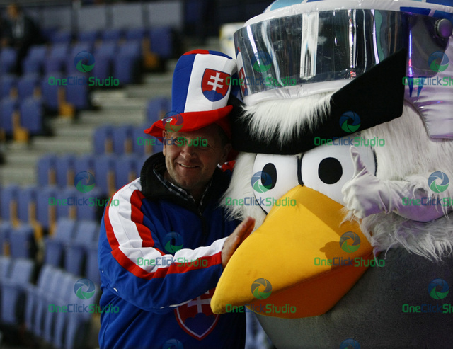 fanusik a hockeybird