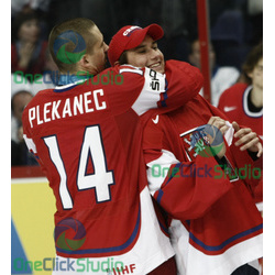 plekanec mrazek